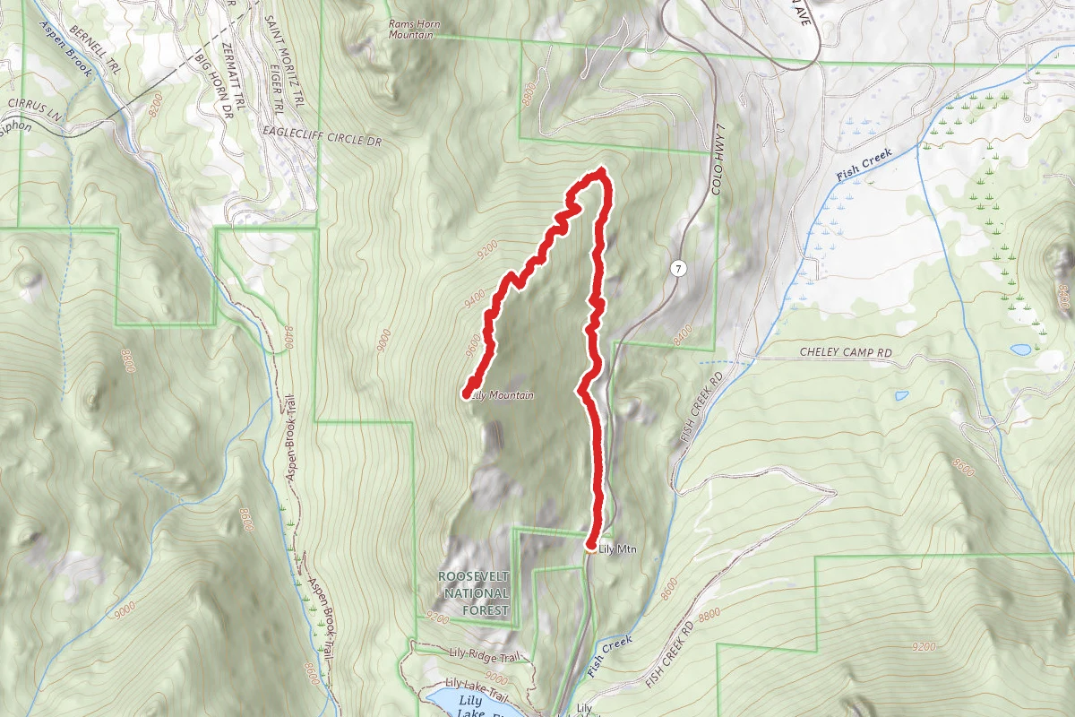 Lily Mountain Trail