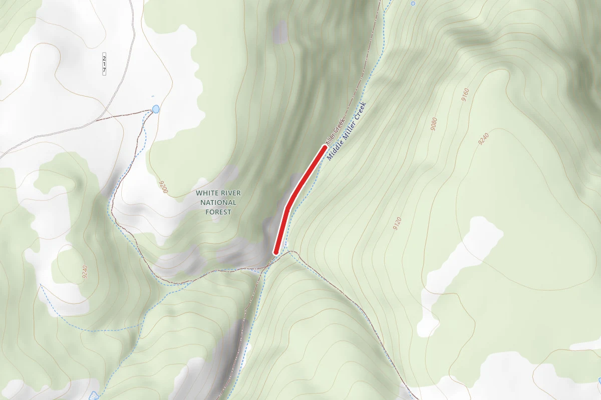 Middle Miller Creek