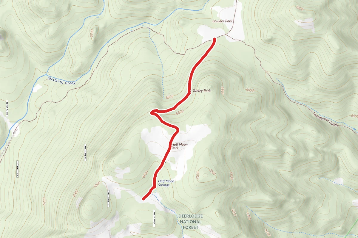 Turkey Track
