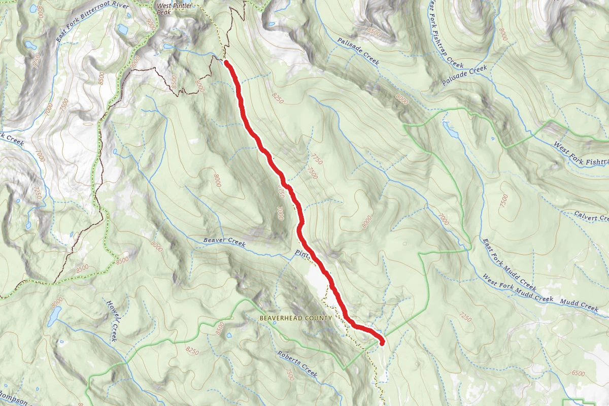 Pintler Creek