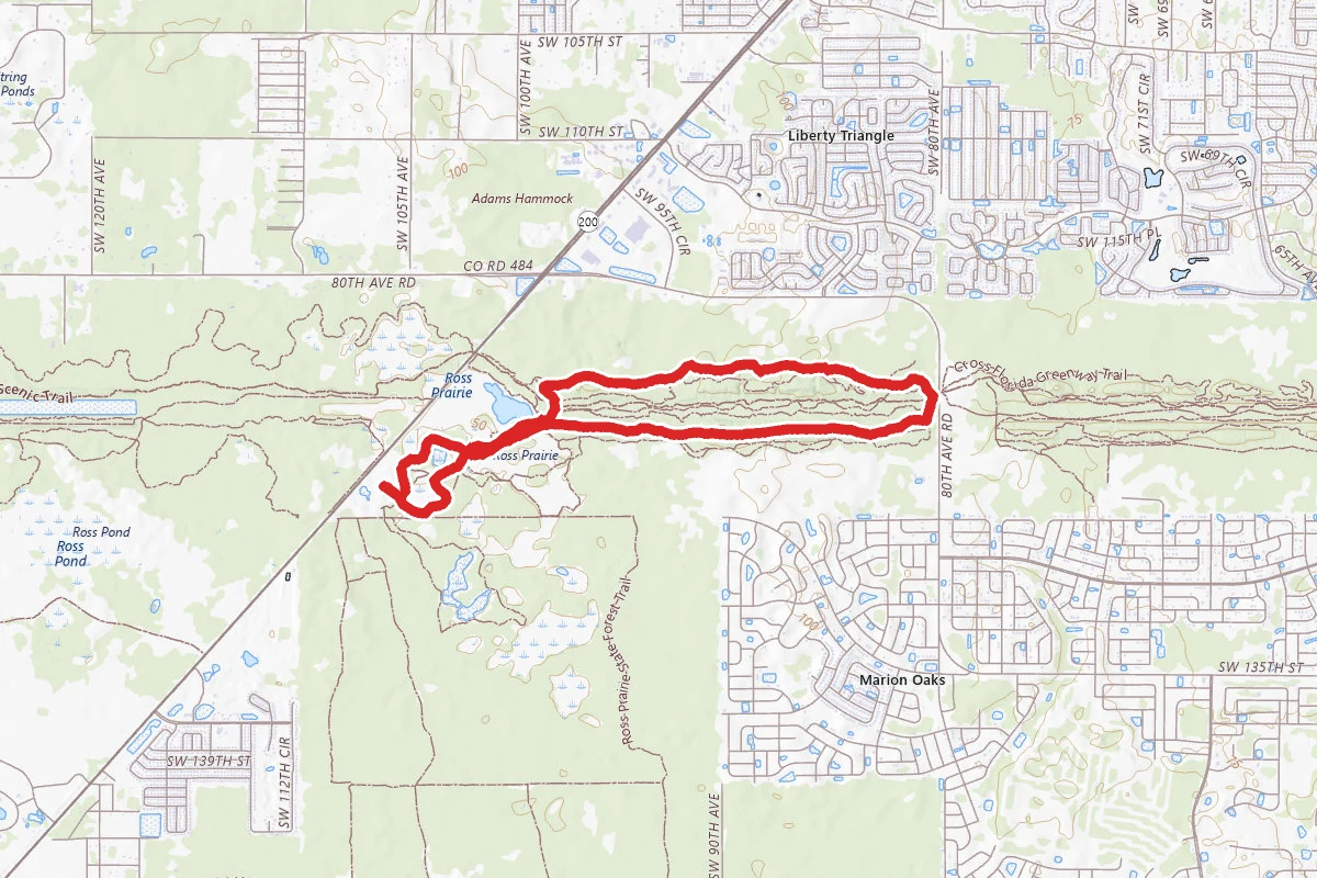 Cross Florida Greenway from Ross Prairie Trailhead