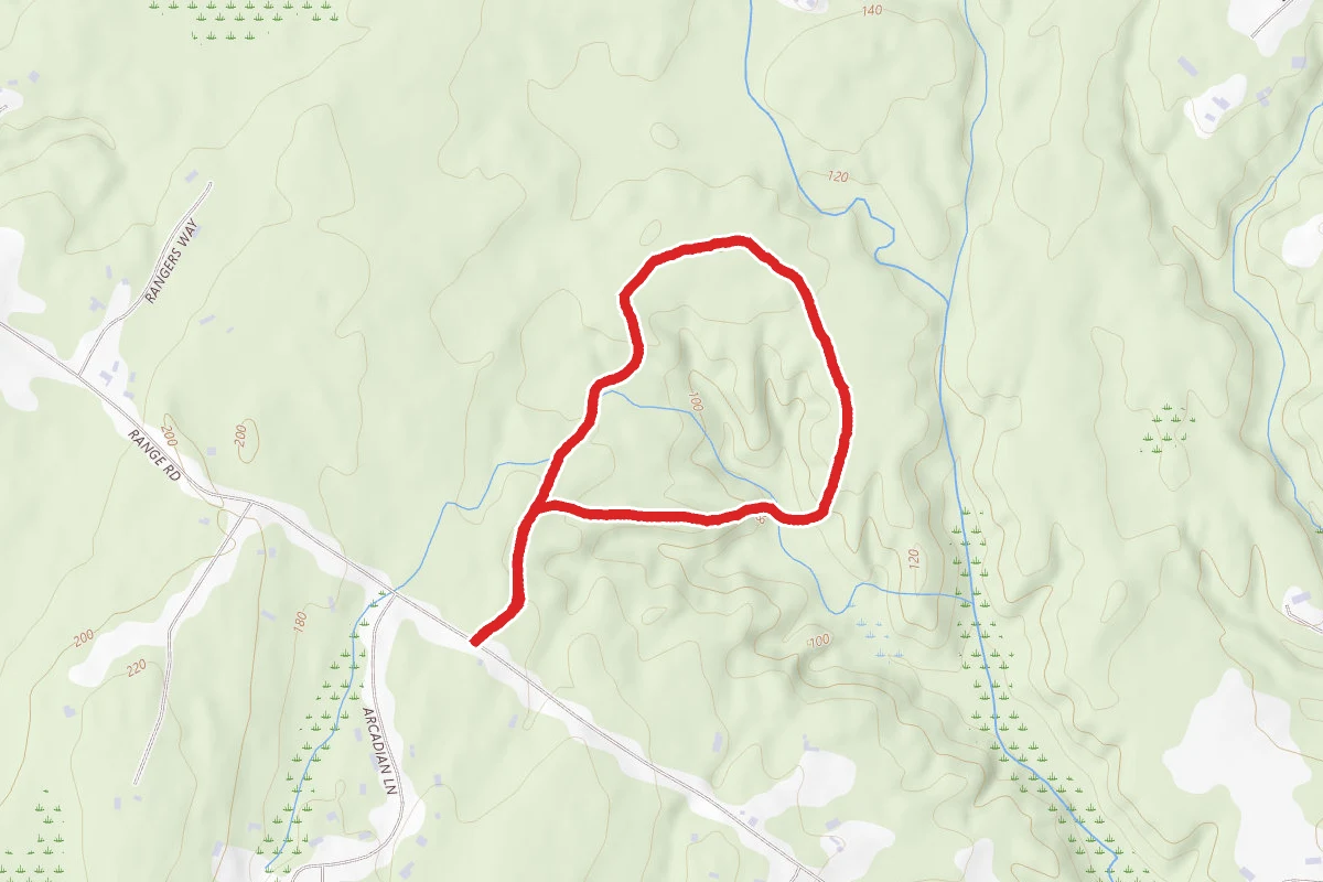 Rines Forest Trail