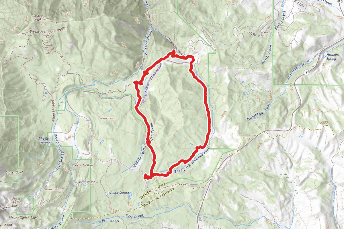 Middle Fork Wheeler Creek