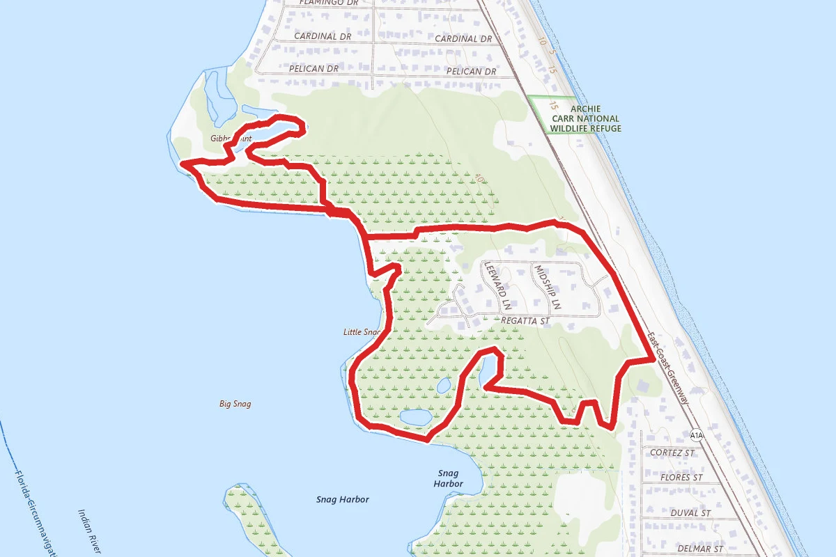 Maritime Hammock Sanctuary Loop