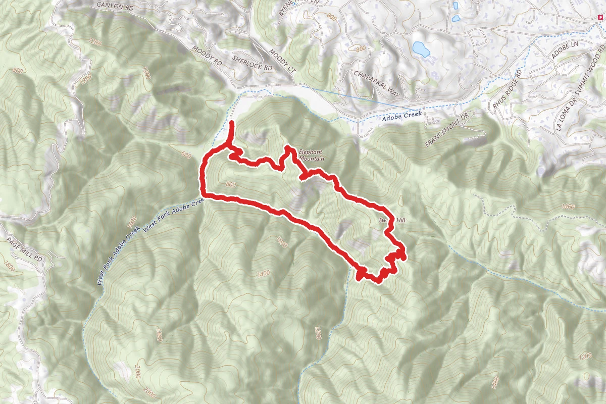 Ewing Hill Loop