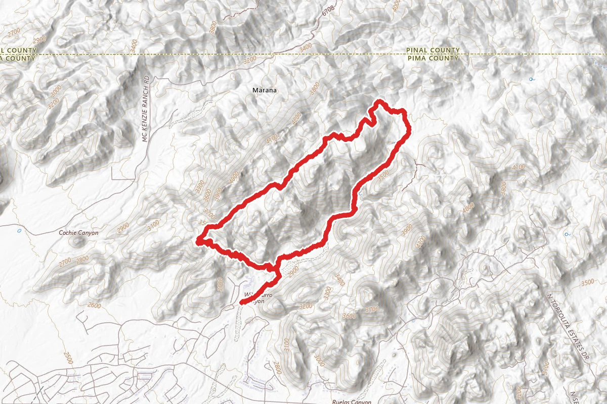 Wild Mustang to Wild Burro Loop