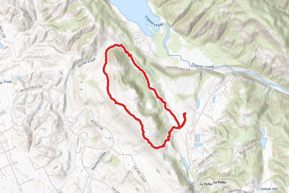 Mendoza and Coyote Ridge Trail