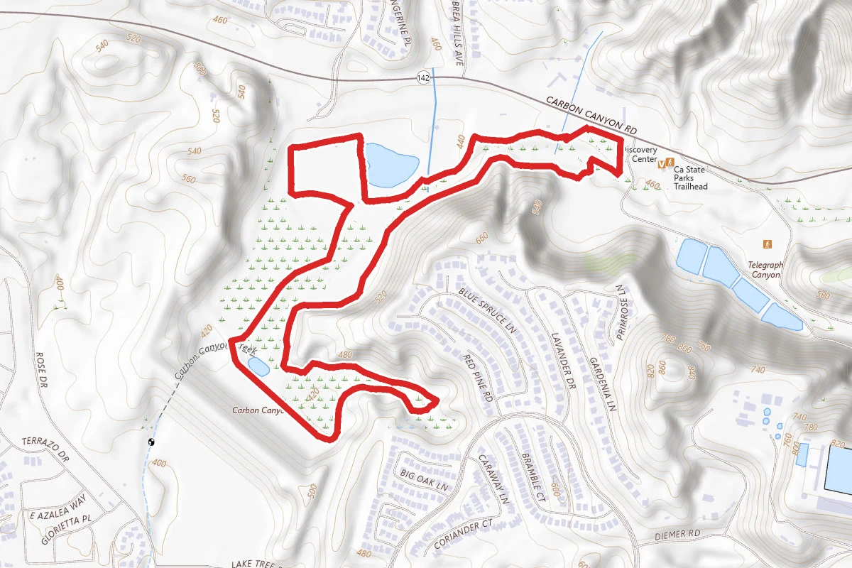 Carbon Canyon Nature Trail