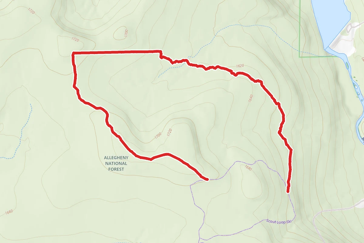 Hemlock Loop Hiking