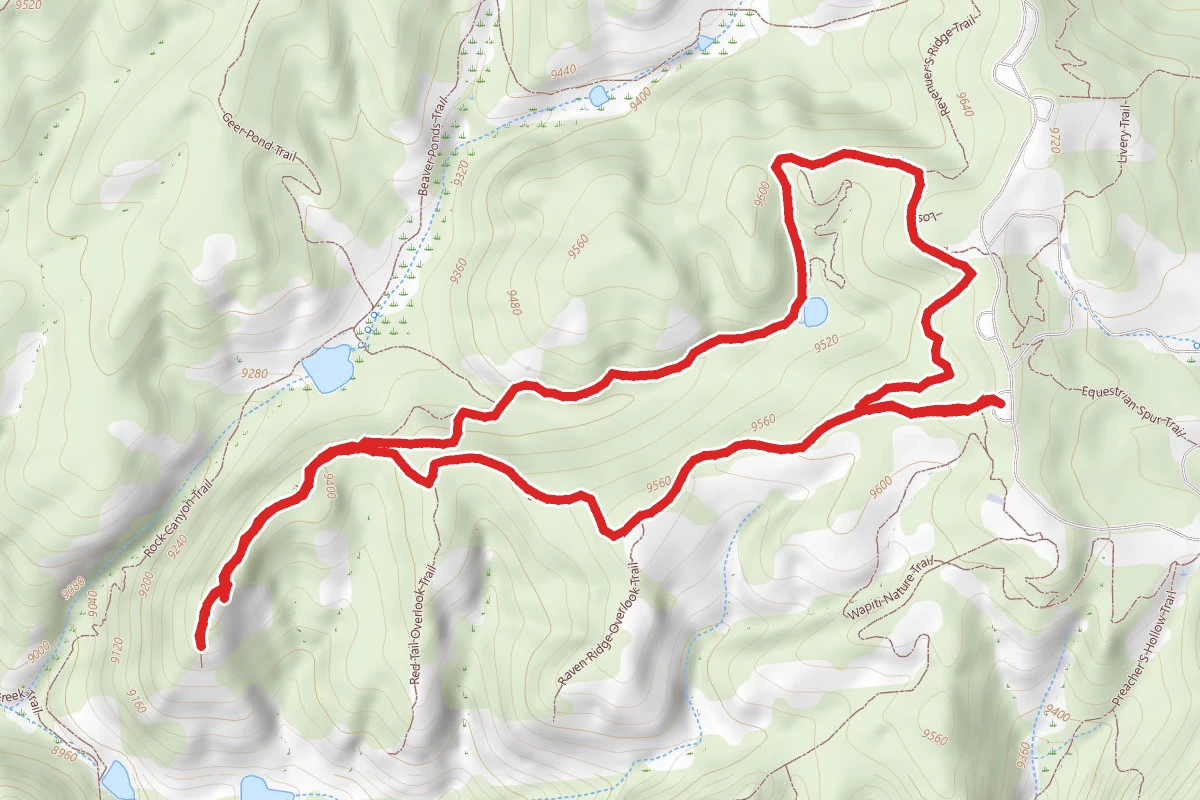 Outlook Ridge and Lost Pond Loop Trail