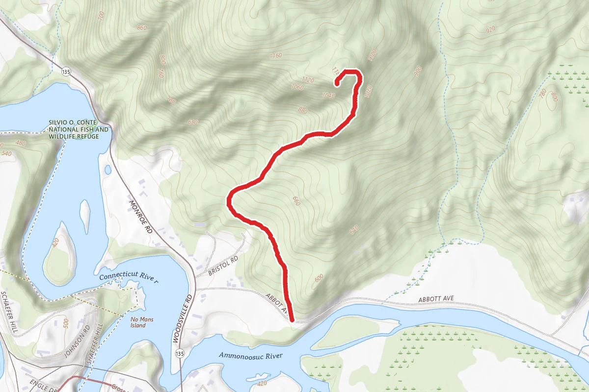 Mount Gardner Lone Oak Trail