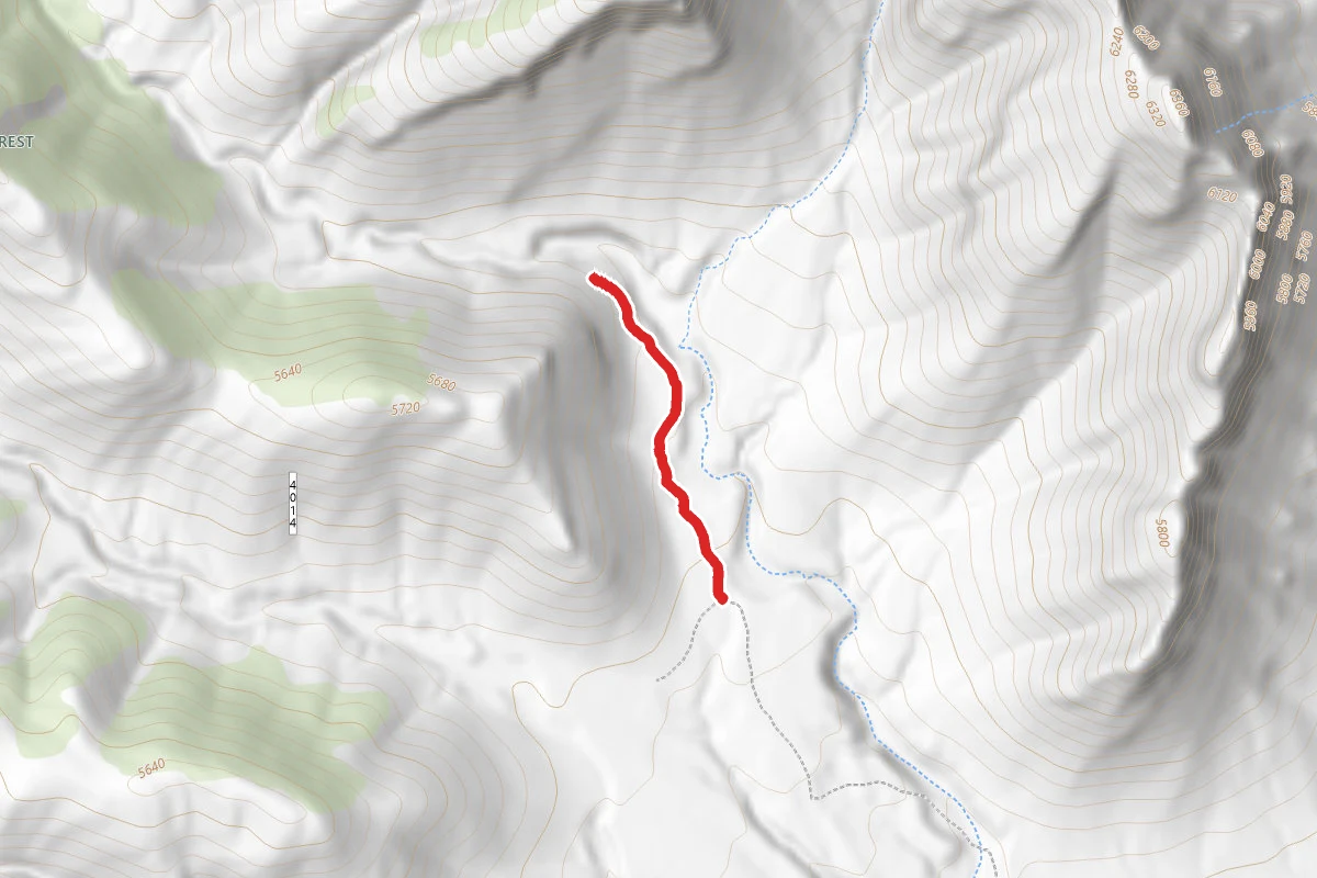 Motorized Trail 7