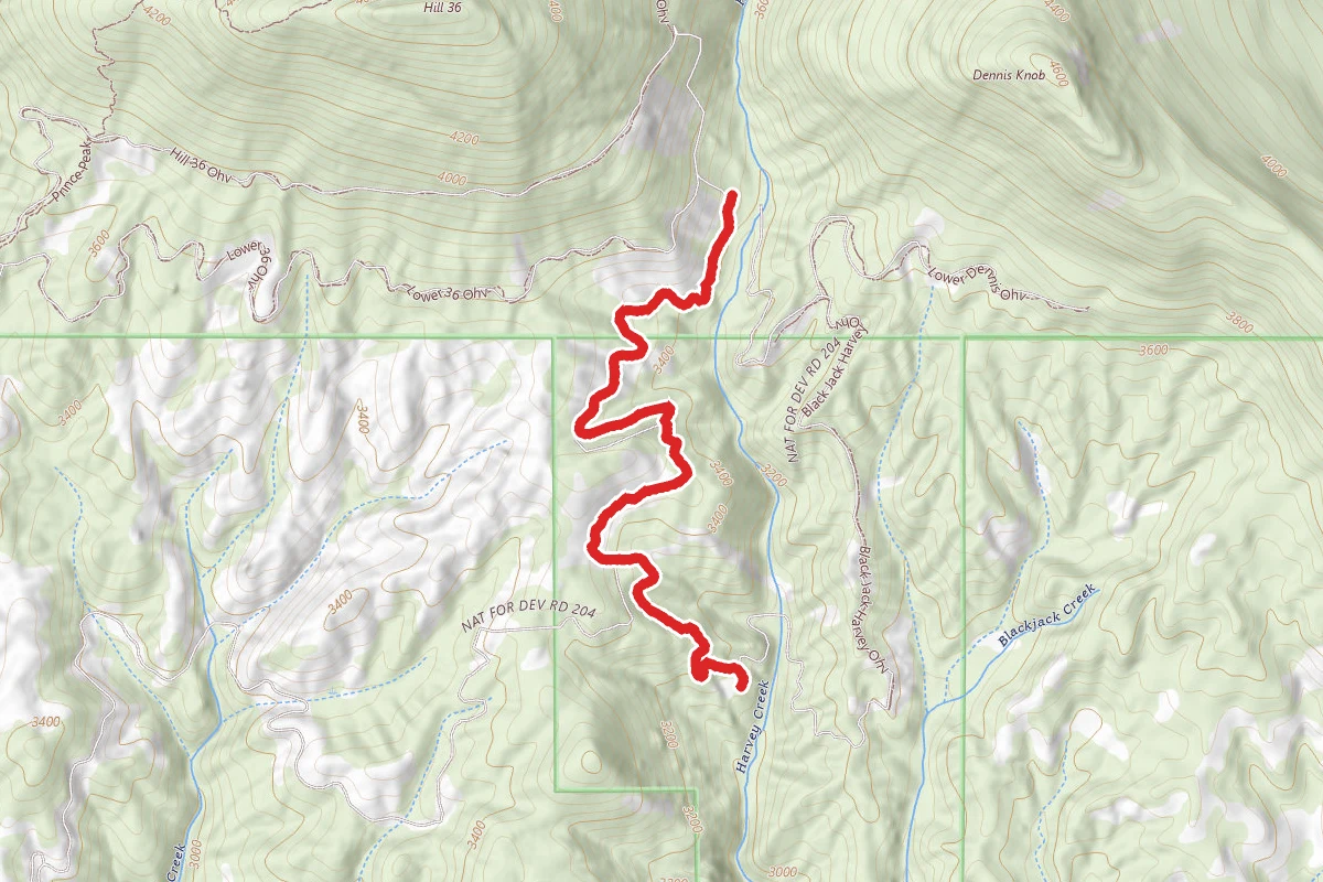 Northwest Harvey Ohv