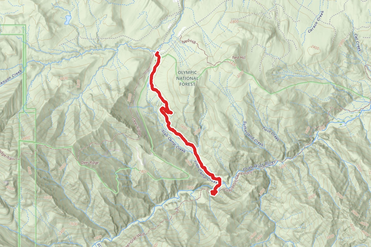 Slab Camp Trail