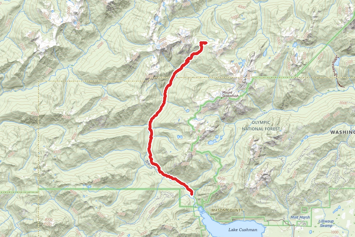 North Fork Skokomish River Trail