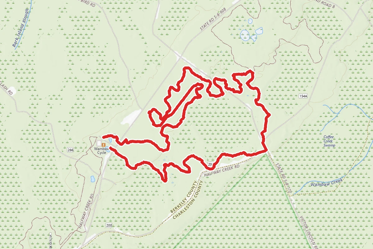 Wambaw Cycle Trail
