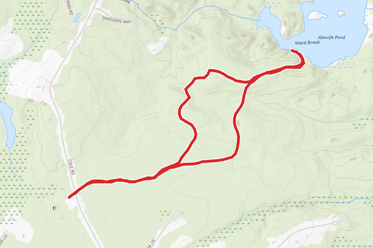 Alewive Woods Preserve Loop