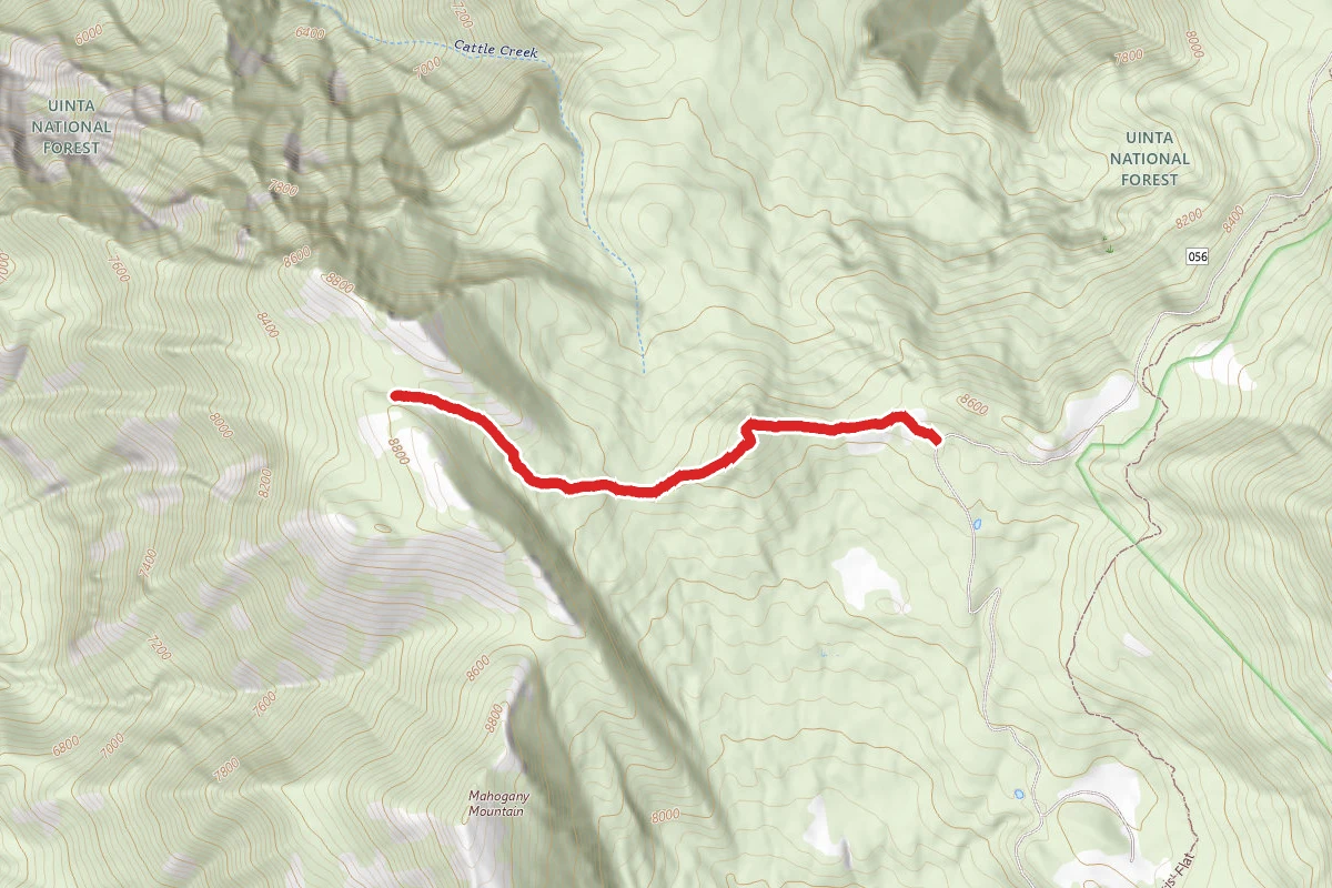 Mahogany Mountain North Peak Trail