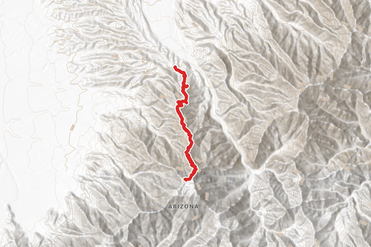 Jester's Trail