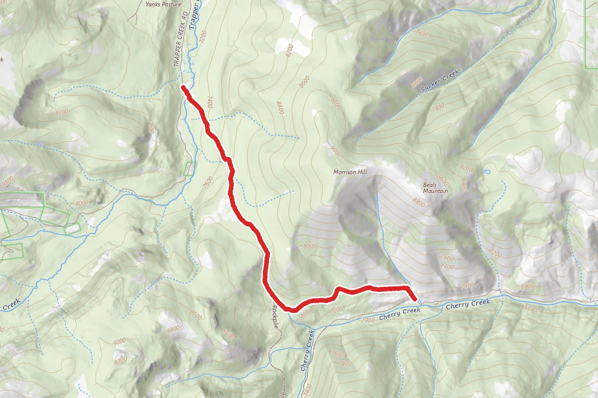 Bear Gulch