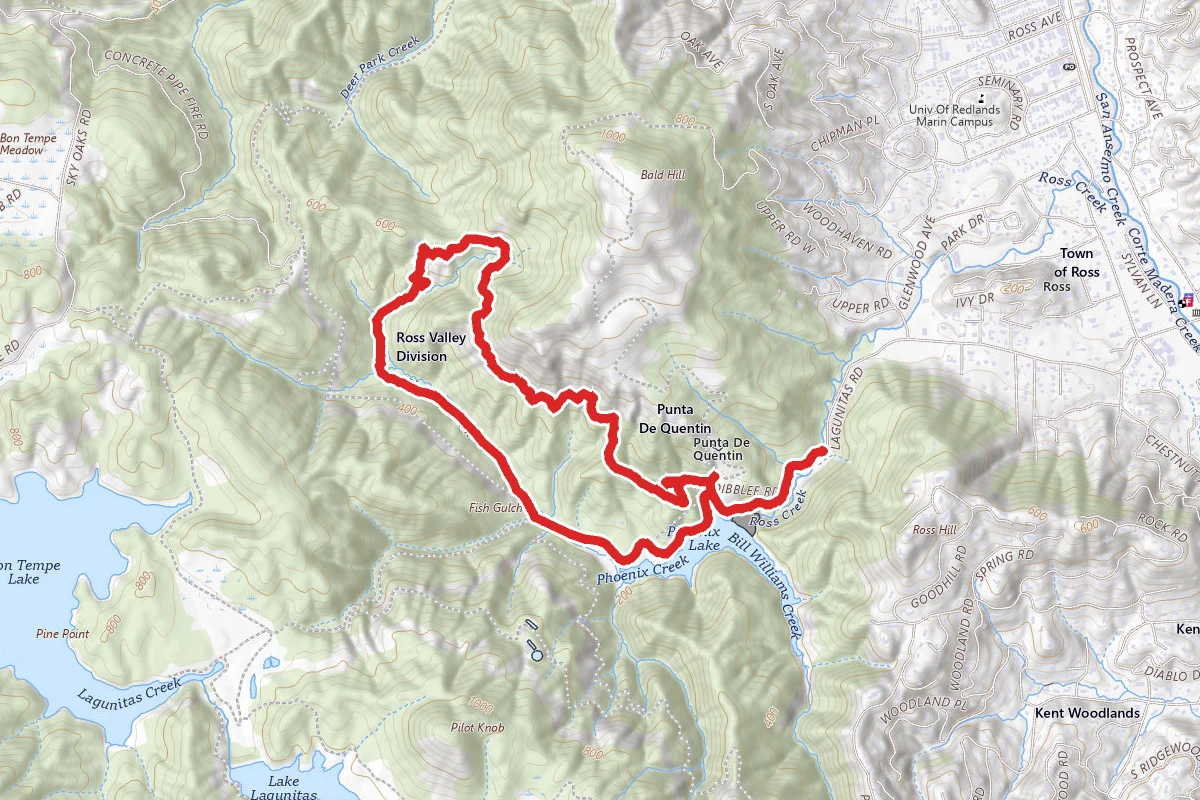 Yolanda, Hidden Meadow, and Shaver Grade Loop