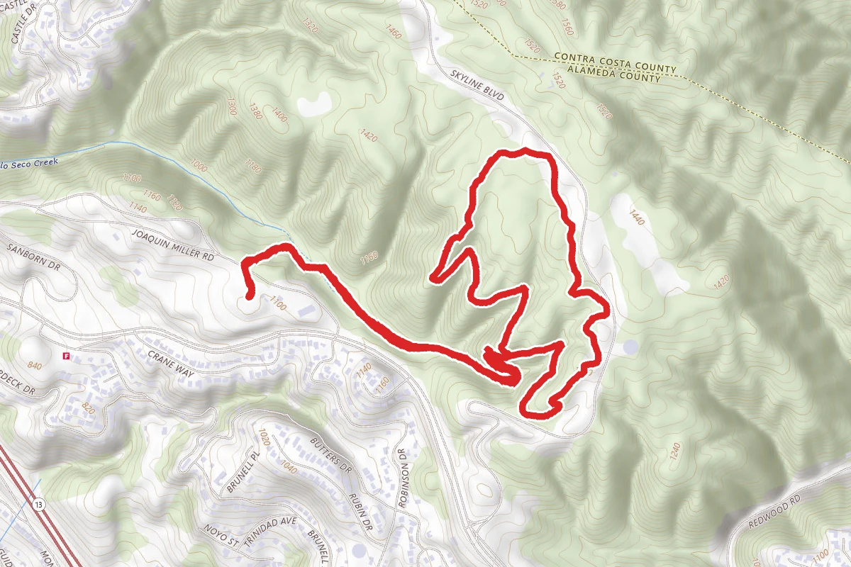 Sunset Trail to Sequoia Bayview and Big Trees Loop