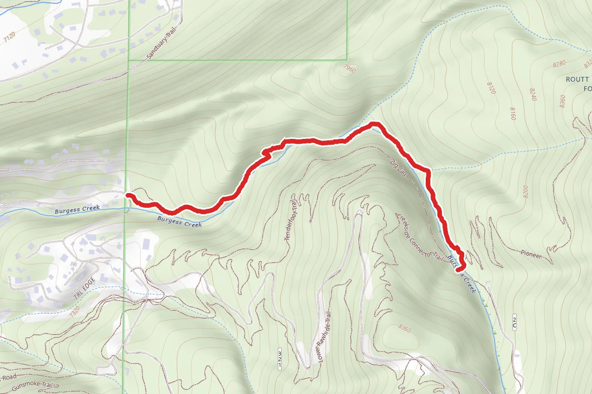 Burgess Creek Creekside Trail