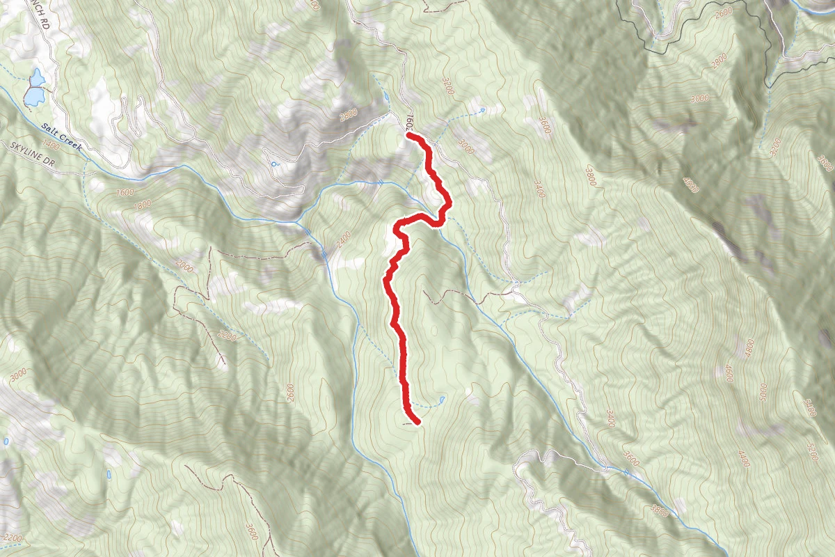 16027: Salt Creek  Usgs Case Mt