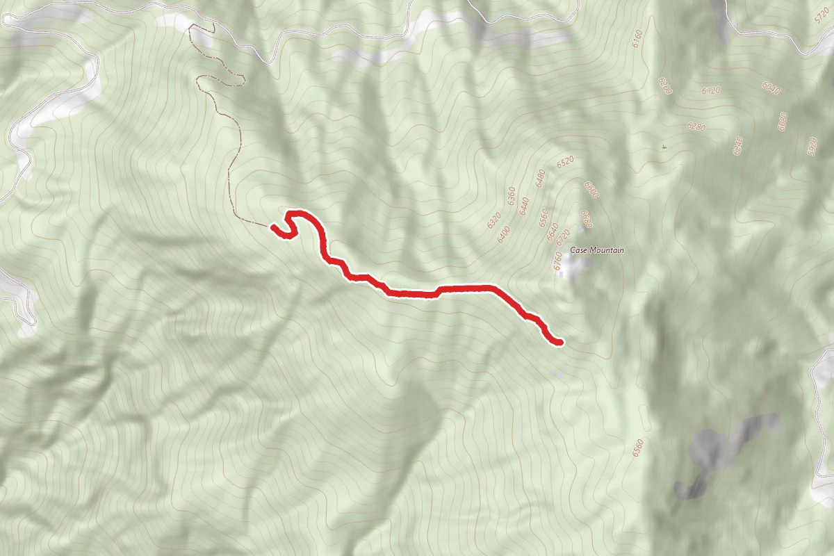 16026: Cinnamon Gap-Case Mt-Oak Grove  Usgs Case Mt
