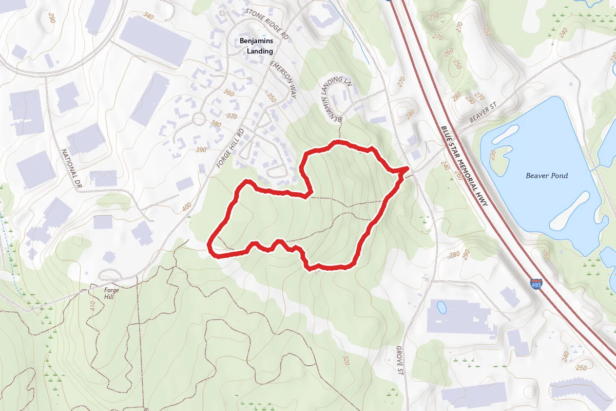 Franklin Forest Loop