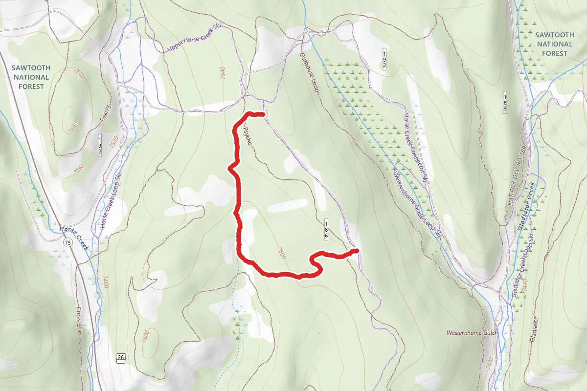 Emma's Gulch Ski