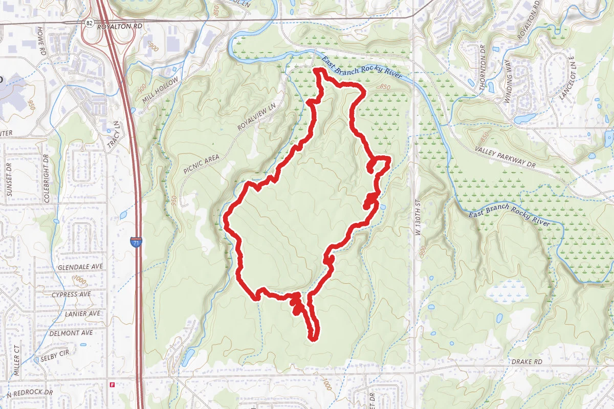 Yellow MTB and Sugar Bush Loop