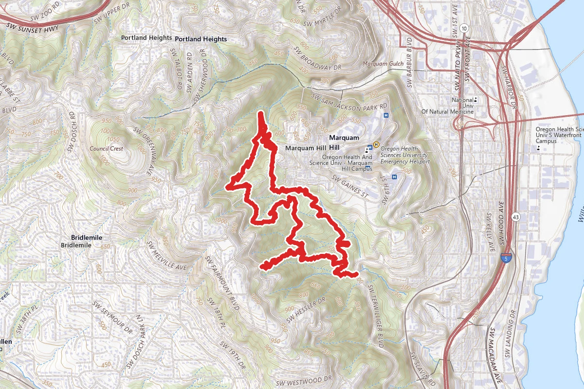 Marquam, Towhee, Flicker & Warbler Loop