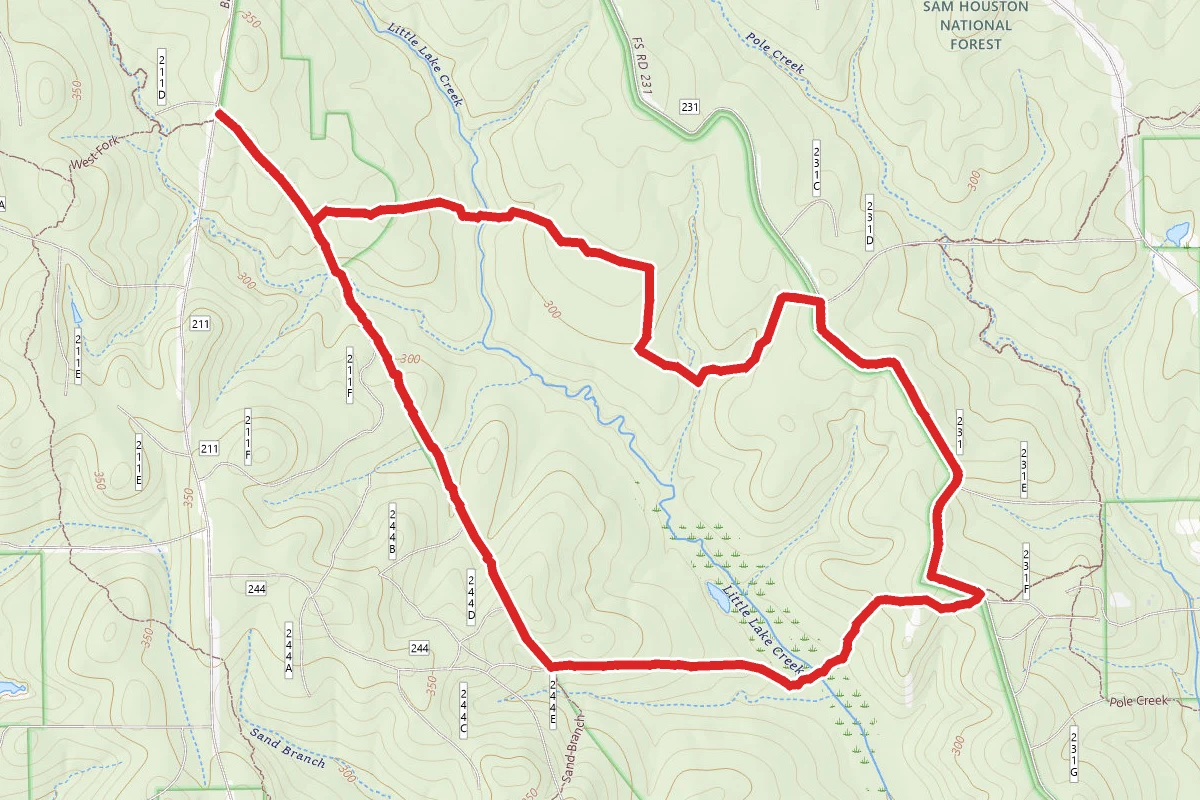 Lone Star and North Wilderness Loop Trail