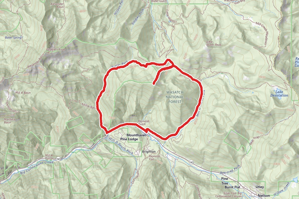Dog Lake Reynold's Peak and Butler Fork Loop Trail