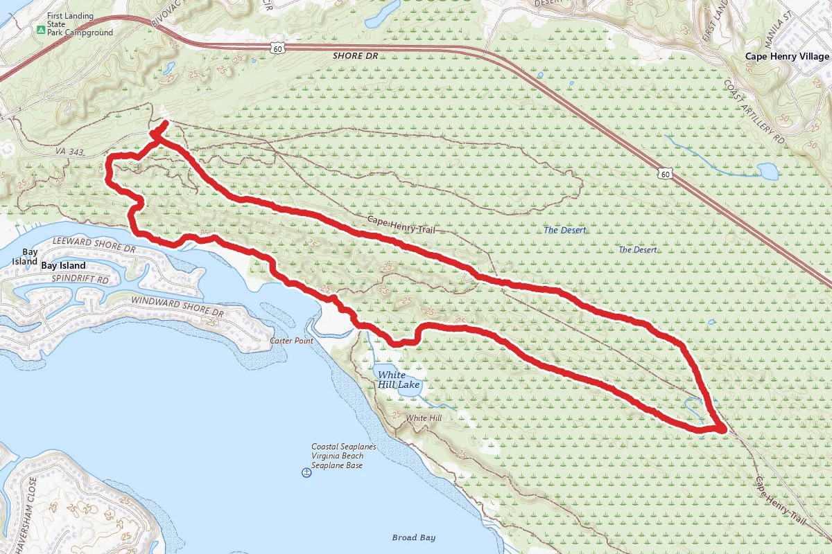 Cape Henry Trail to Long Creek Trail