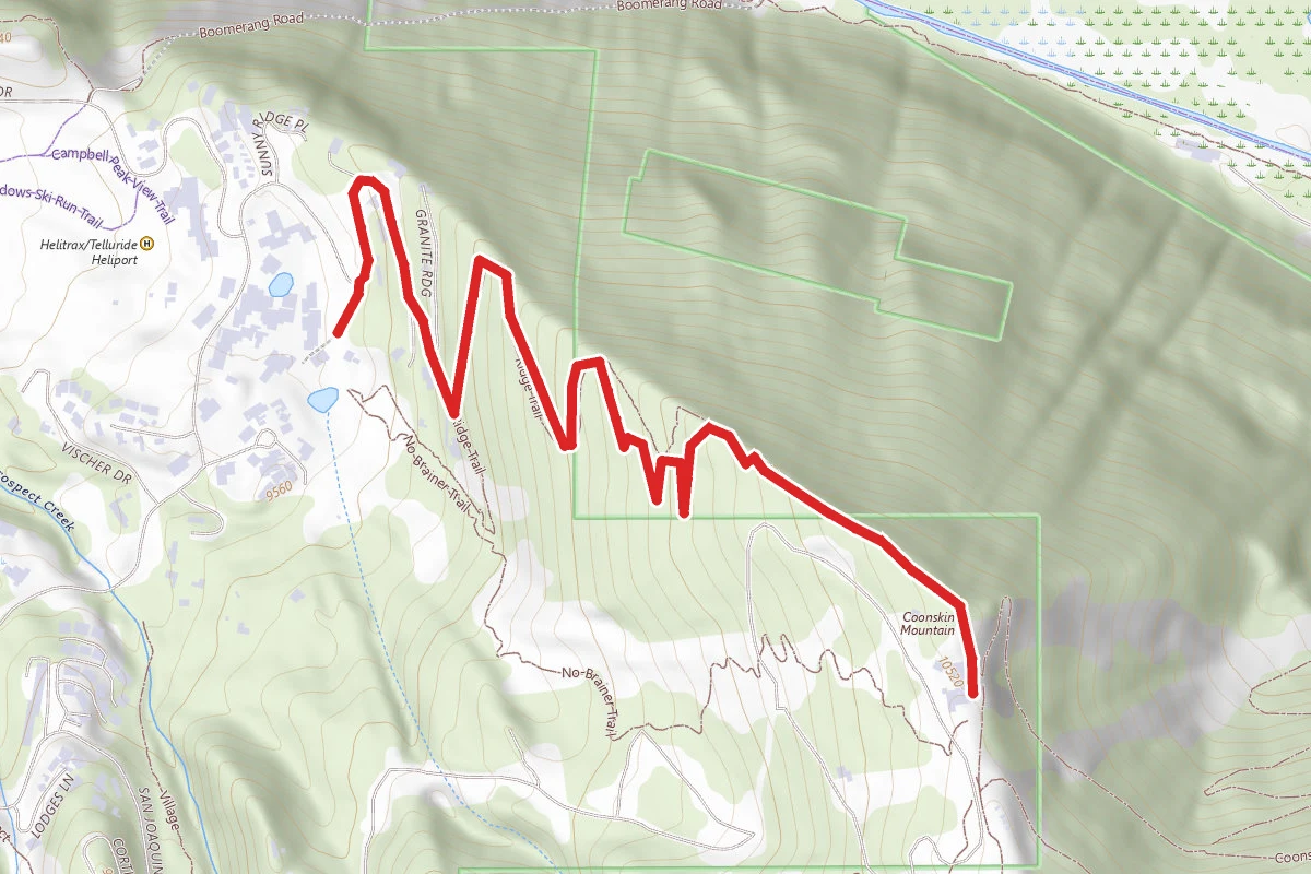 Coonskin Mountain via Ridge Trail
