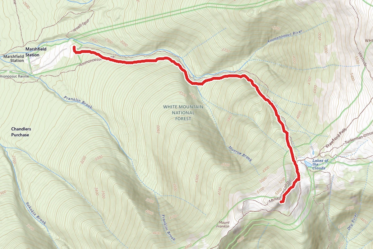 Mount Monroe Trail
