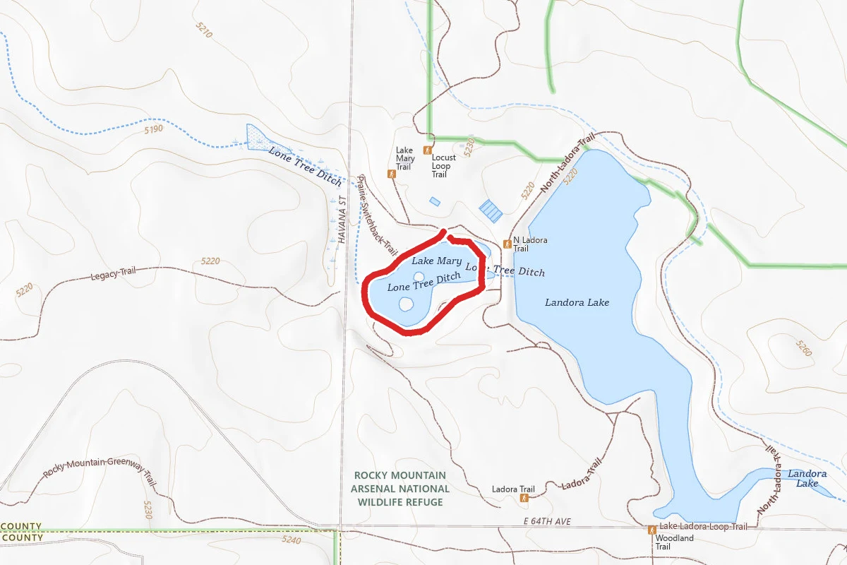 Lake Mary Loop