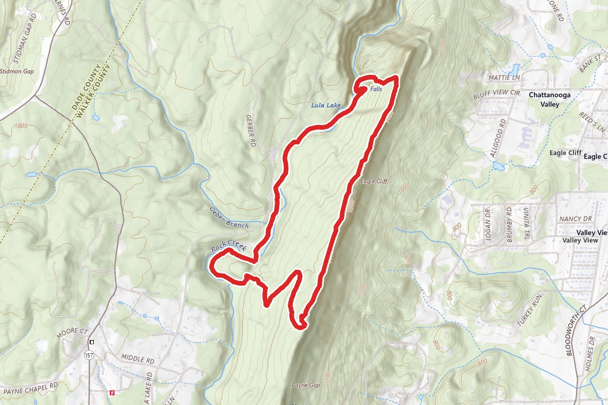 C, Ovenbird, Bluff and A Trail Loop