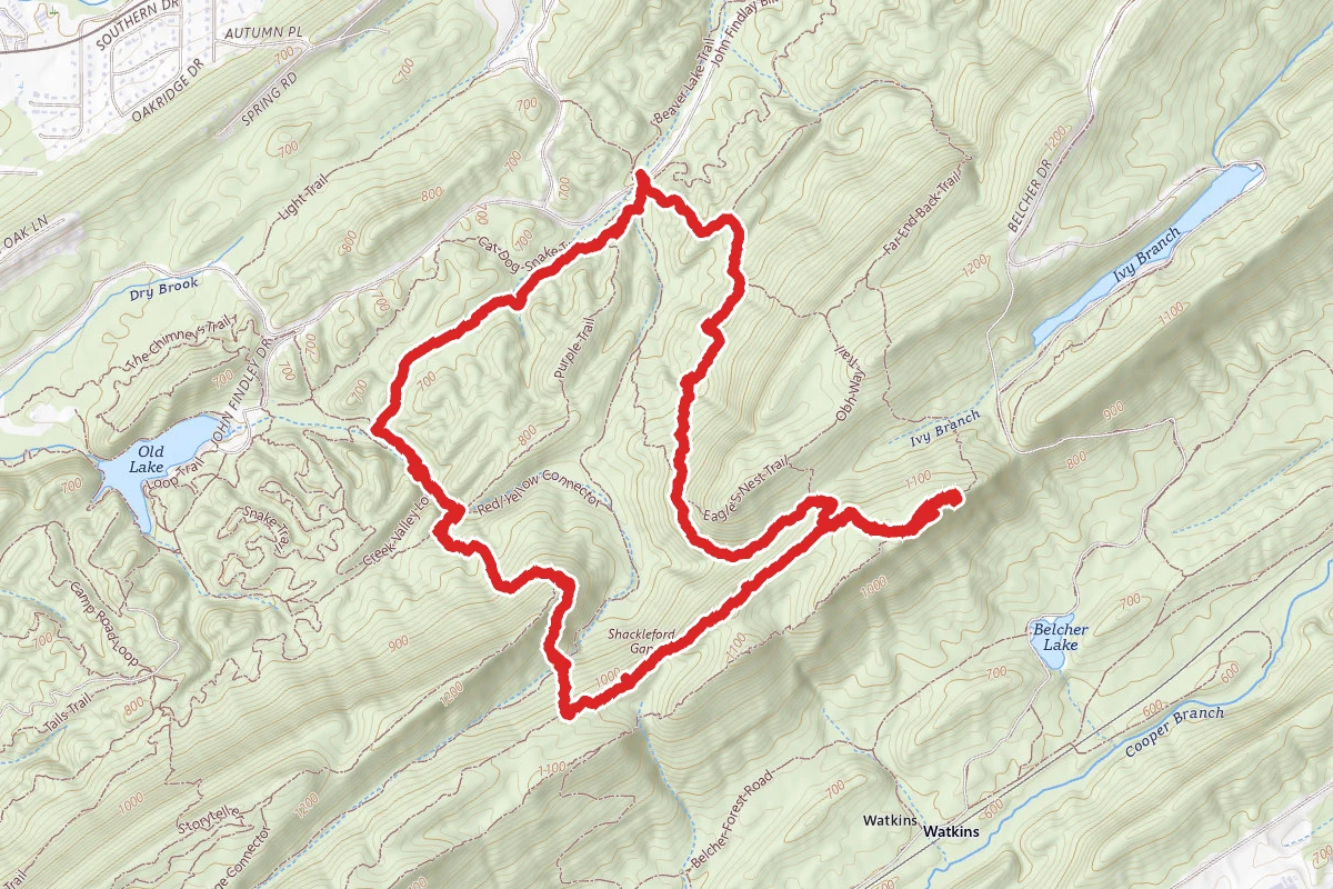 King's Chair Overlook via White and Blue Trail Loop