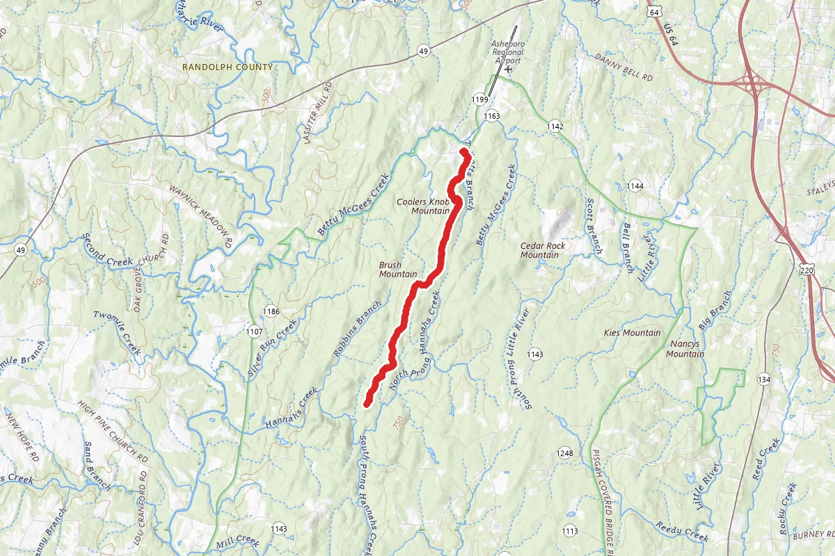 Birkhead Mountain