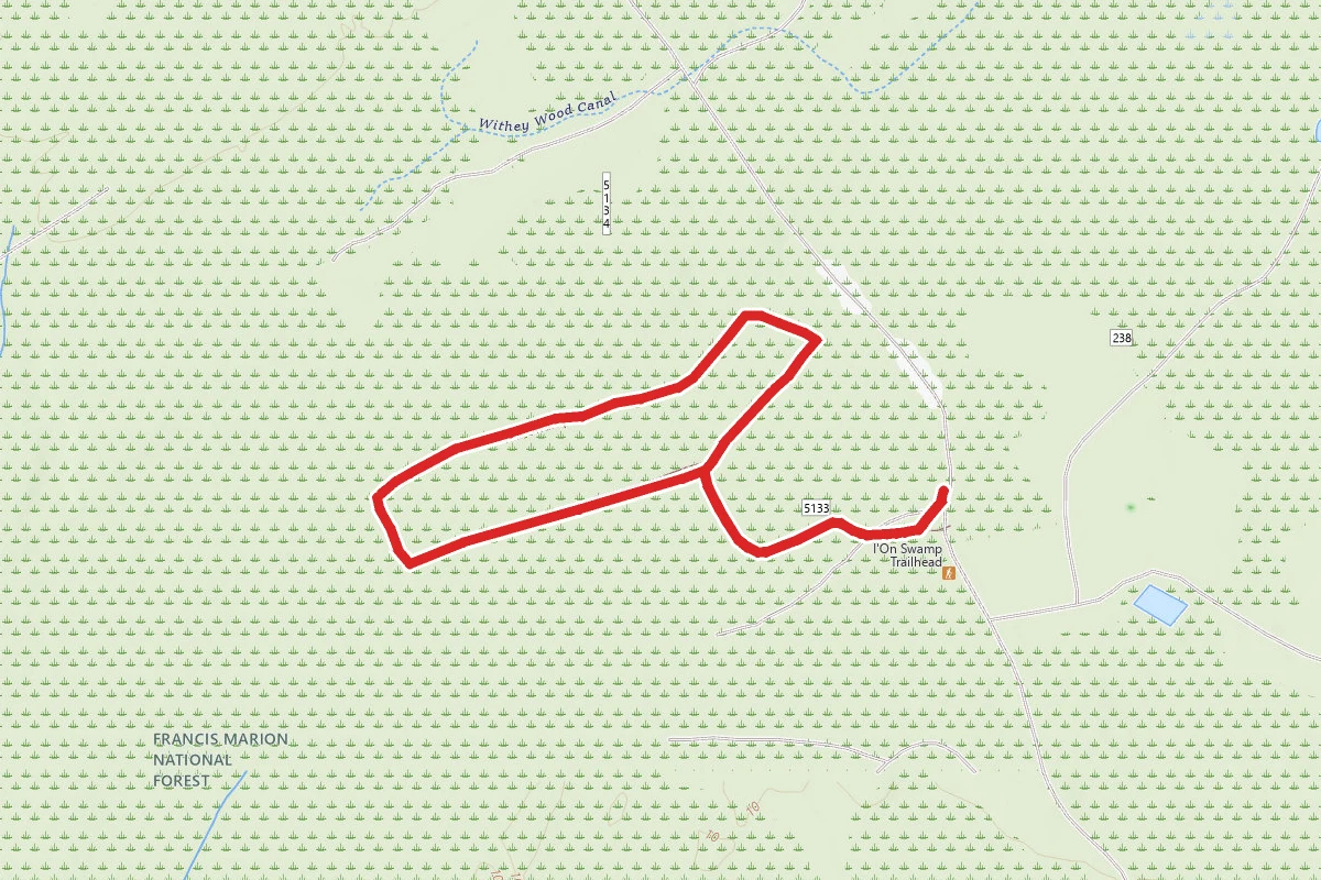 I'on Swamp Interpretive Trail