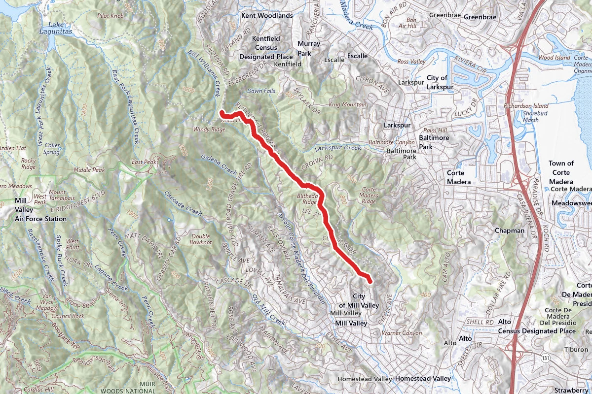 Blithedale Ridge Trail