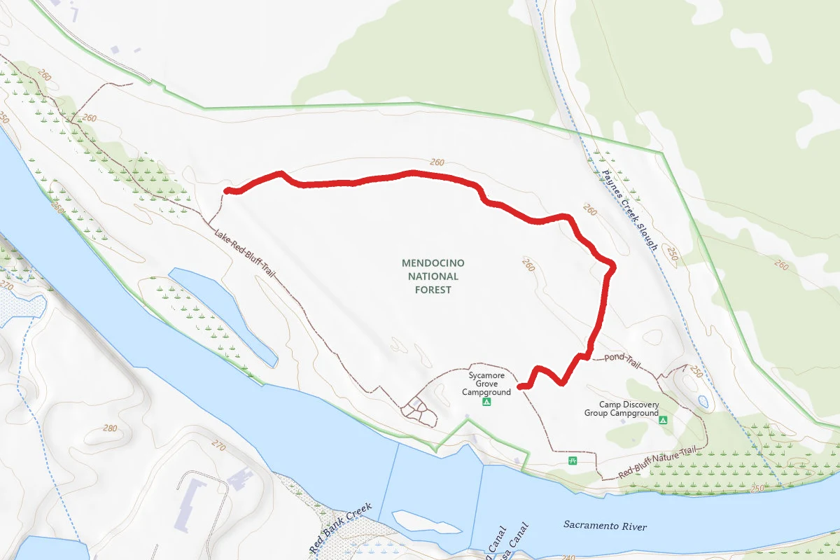 Shasta View Trail