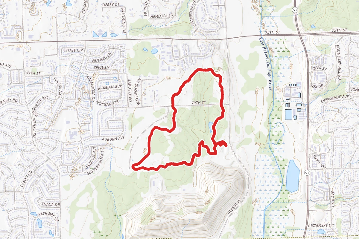 Greene Valley Forest White Oak Loop
