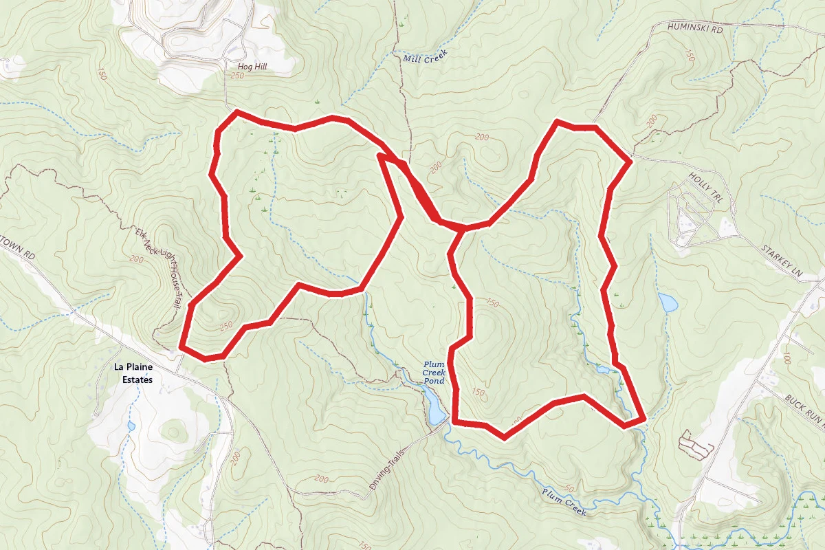 Elk Neck State Forest Trails
