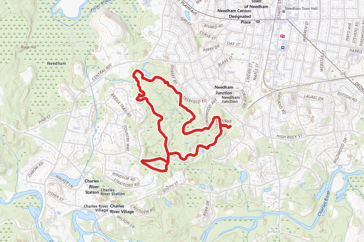 Needham Town Forest Trail