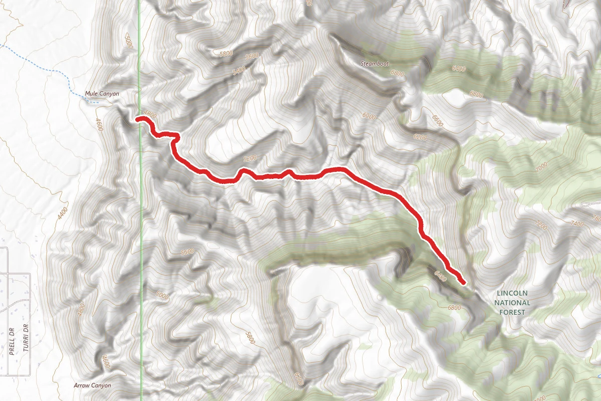 Mule Cyn