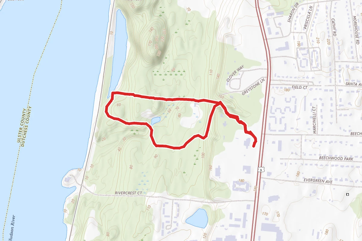 Locust Grove Estate - The Ln Loop